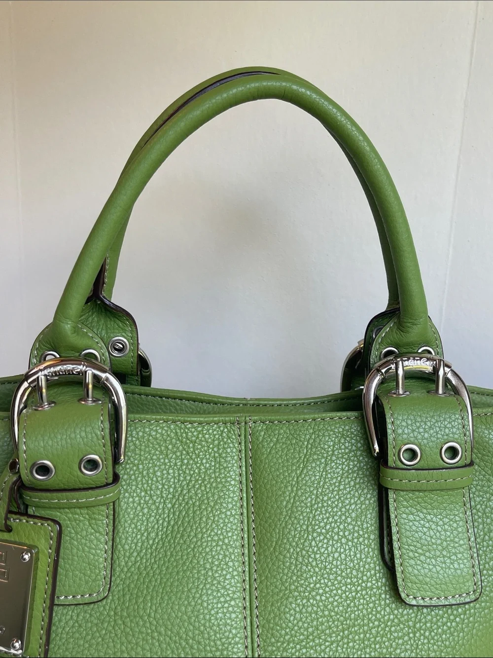 Tignanello Green Genuine Leather Handbag